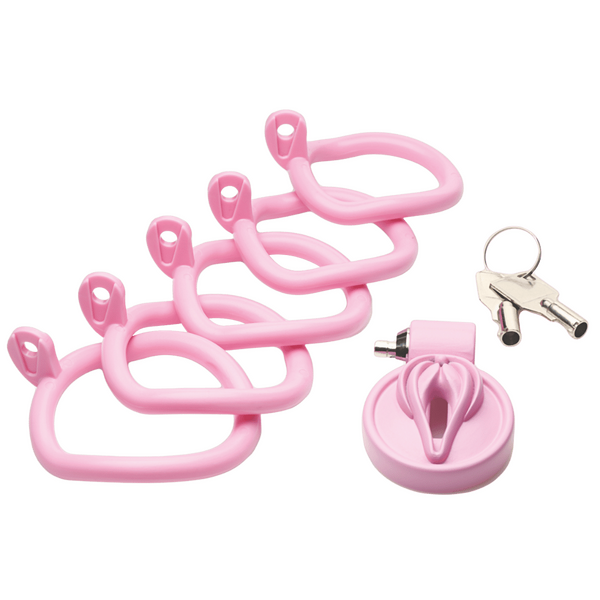 Pussification Vulva Chastity Cage Xr Brands